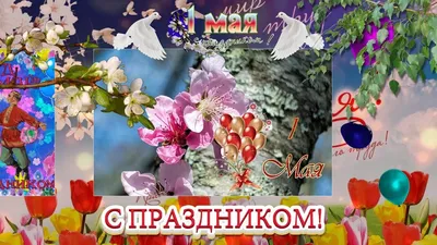 Картинки и открытки прикольные. 1 мая, Первомай, День весны и труда. 37