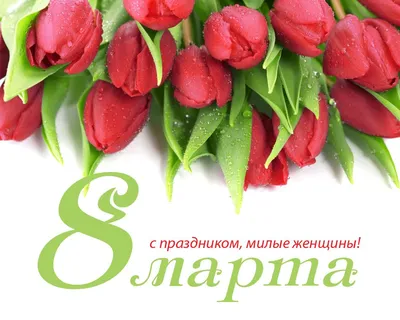 Прикольные поздравления с 8 марта с юмором - короткие и смешные  поздравления коллегам женщинам, подруге, супруге, матери и б… | Розовые  тюльпаны, Тюльпаны, Цветение