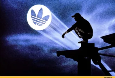 Арт, искусство, приколы : Adidas