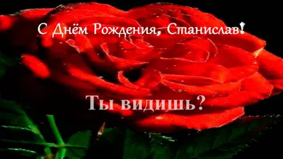 Смешное поздравление. С Днём рождения, Станислав! - YouTube