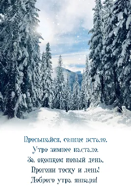 Картинки С добрым зимним утром с пожеланиями. 60 интересных открыток. |  Новогодние цитаты, Счастливые картинки, Зимние цитаты