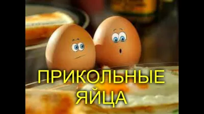 Как у вас с яйцами то? Запаслись куриной икрой? Самые смешные приколы на  яичную тему!😂😄 | Всегда в теме | Дзен