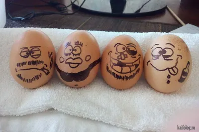 Приколы про яйца (45 фото)