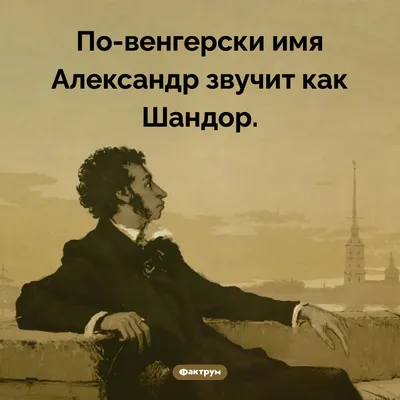 6 декабря в день Александра Невского именины отмечают все Александры:  значение имени и необычные ласковые прозвища | Курьер.Среда | Дзен