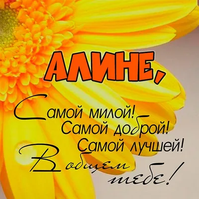 Алина, ты где?