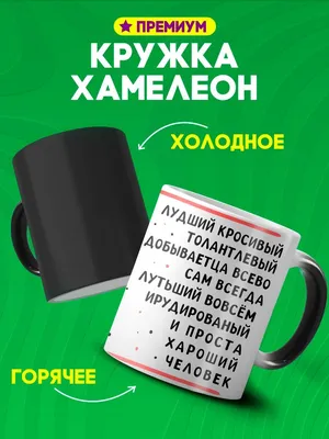 Кружка хамелеон с именем Коля душнила тот еще подарочная Custom merch  161074227 купить в интернет-магазине Wildberries