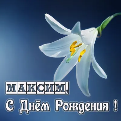 Не то, что ваши пухлощекие перекормыши»: Чем известен блогер-сыроед Максим  Лютый, у которого новорожденный ребенок умер от истощения - 