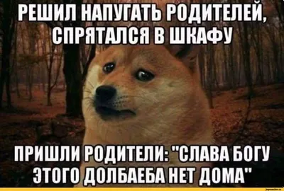 С праздником! - Архив новостей - Специальная школа № 18 г.Минска имени  братьев Евдокимовых