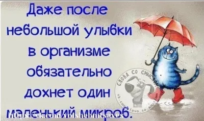 Пожелания хорошего дня в картинках, своими словами, в стихах, в смс и  христианские пожелания доброго дня — Украина