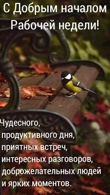 Доброе утро хорошей недели! Пожелания удачной недели. | Доброе утро, Милые  открытки, Открытки