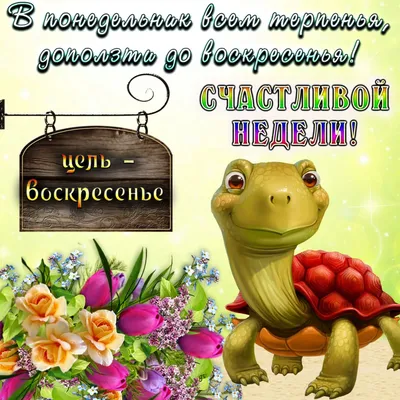 Свежие картинки и мемы на начало недели