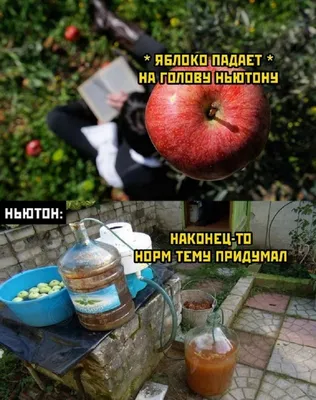 Юмор к окончанию рабочей недели