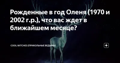 ТабуДА Наклейка на авто прикольные Олени