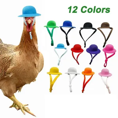 Прикольная курица для кур, крошечные питомцы, забавные аксессуары, ферма,  курица, верхняя шляпа для петуха, утки, попугаев, птицы, стильный костюм  для шоу | AliExpress