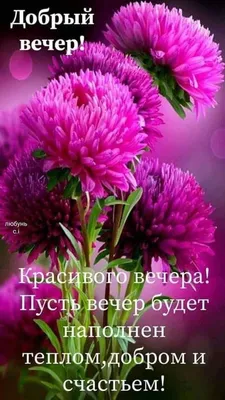 Пожелания хорошего дня в картинках, своими словами, в стихах, в смс и  христианские пожелания доброго дня — Украина