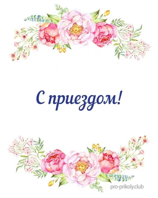 армия россии / смешные картинки и другие приколы: комиксы, гиф анимация,  видео, лучший интеллектуальный юмор.