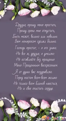 Веселые и смешные картинки на Прощеное Воскресенье - картинки, открытки с  поздравлениями