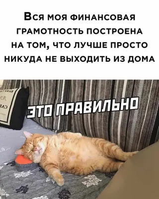 Шашлык из куриных крылышек на мангале (рецепт с фото)