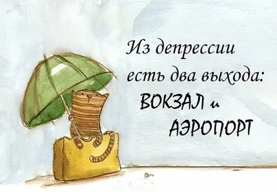 Возвращение блудного кота. / домой пришёл :: личное :: котэ (прикольные  картинки с кошками) / картинки, гифки, прикольные комиксы, интересные  статьи по теме.