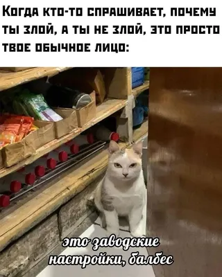 Бенто торт мужчине прикольный купить по цене 1500 руб. | Доставка по Москве  и Московской области | Интернет-магазин Bentoy