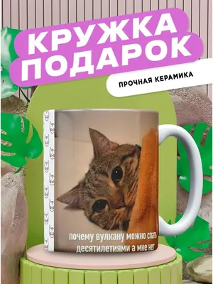 Кружка мем с котом котиком кошкой, прикольные животные КружОК 154451743  купить за 516 ₽ в интернет-магазине Wildberries