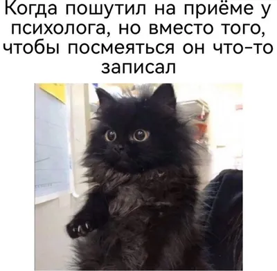 Новости ГБУЗ «ОНКОЛОГИЧЕСКИЙ ДИСПАНСЕР № 3» МЗ КК Новороссийск -  Поздравляем июльчиков-колокольчиков и июляточек-загорелых пяточек!