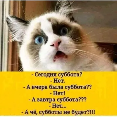 Утрешнее