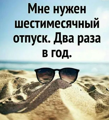 Отдых в Санкт-Петербурге зимой: 10 мест, где отдохнуть в Питере