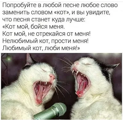 Смс любимому мужчине, мужу. Смс любимому мужчине, мужу короткие, прикольные,  для поднятия настроения, для пожелания доброго утра и с… | Мужчины, Муж,  Спокойной ночи