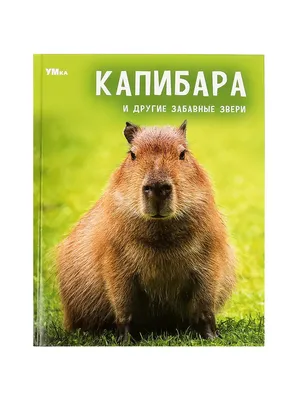 Веселые задания про животных (с наклейками) купить книгу с доставкой по  цене 435 руб. в интернет магазине | Издательство Clever