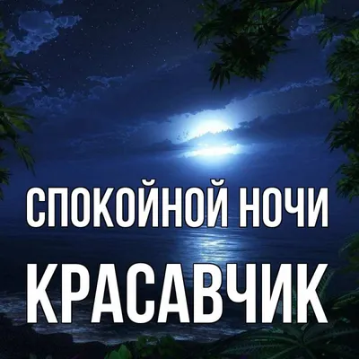 Прикольные картинки спокойной ночи, картинки скачать бесплатно