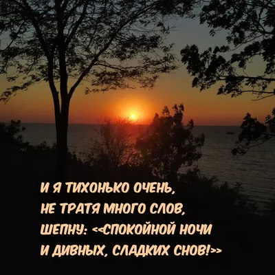 Картинки с надписью - Спокойной ночи и дивных, сладких снов!.