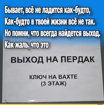 стихи про ежика, детские стихи про ежика, смешные стихи про ежиков, прикольные  стихи про ежиков, стихи про ёжика для детей