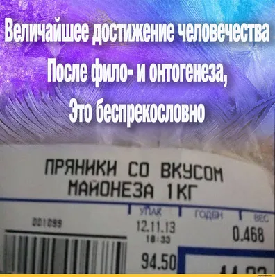 стихи про кота, смешные стихи про котов, прикольные стихи про котов, стихи  о рыжем коте