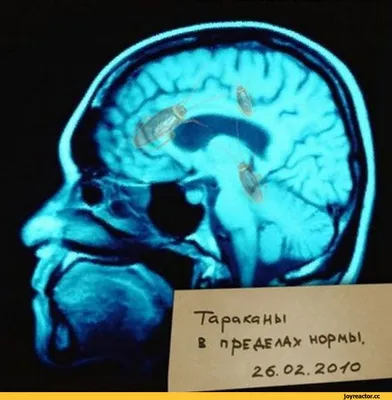 Доброе утро и хорошего дня | Шаблоны открыток, Праздничные открытки,  Открытки