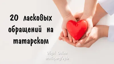 Действительно смешные татарские названия населенных пунктов | Этот  удивительный татарский! | Дзен