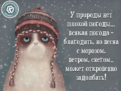 Идеи на тему «У природы нет плохой погоды» (52) | доброе утро, открытки,  счастливые картинки