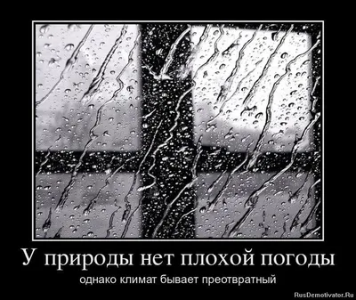 Идеи на тему «Доброе утро.» (30) | доброе утро, открытки, счастливые  картинки