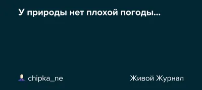 Тетрадь 48л кл. СПб "Нет плохой погоды" выб. УФ-лак | Буквоед Арт. 10286/1