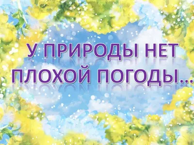 Ответы : У природы нет плохой погоды?) Или лишь бы сиськи  чувствовали себя комфортно?)