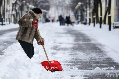 Более 1,7 тысячи коммунальщиков откапывают Минск от снега - ,  Sputnik Беларусь