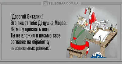 Веселое утро: прикольные анекдоты 1 января - Телеграф