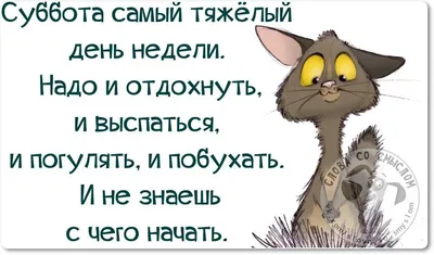 Картинки дни недели суббота с добрым утром смешные | Юмор о работе,  Позитивные цитаты, Смешные высказывания