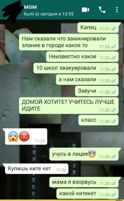 Прикольные переписки WhatsApp, которые украсят рабочую пятницу | life_nrj  lifestyle блог | Дзен