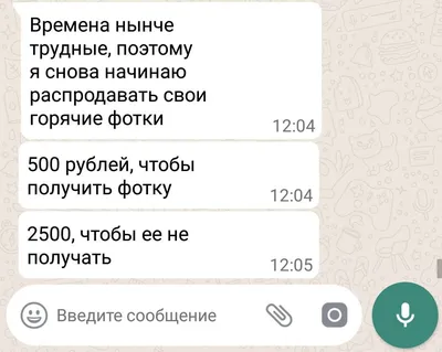 Смешные переписки в WhatsApp | FunGovernment | Дзен