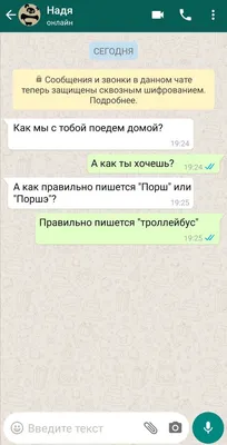 WhatsApp стикеры. Прикольные животные – скачать приложение для Android –  Каталог RuStore