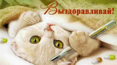 Выздоравливай скорее [57 картинок]