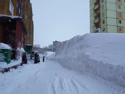 Замело! Расскажи им, как ты задолбался чистить машину по утрам