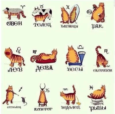 Близнецы. Gemini. Смешные афоризмы про знаки зодиака. Funny aphorisms about  the signs of the zodiac. | Gemini