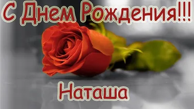 С днем рождения наташа от знаменитостей - фото и картинки 